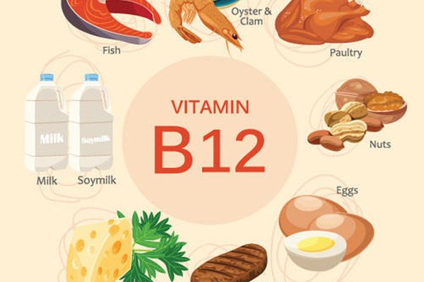 Vitamin B12 là gì | Những lợi ích của Vitamin B12 đem lại