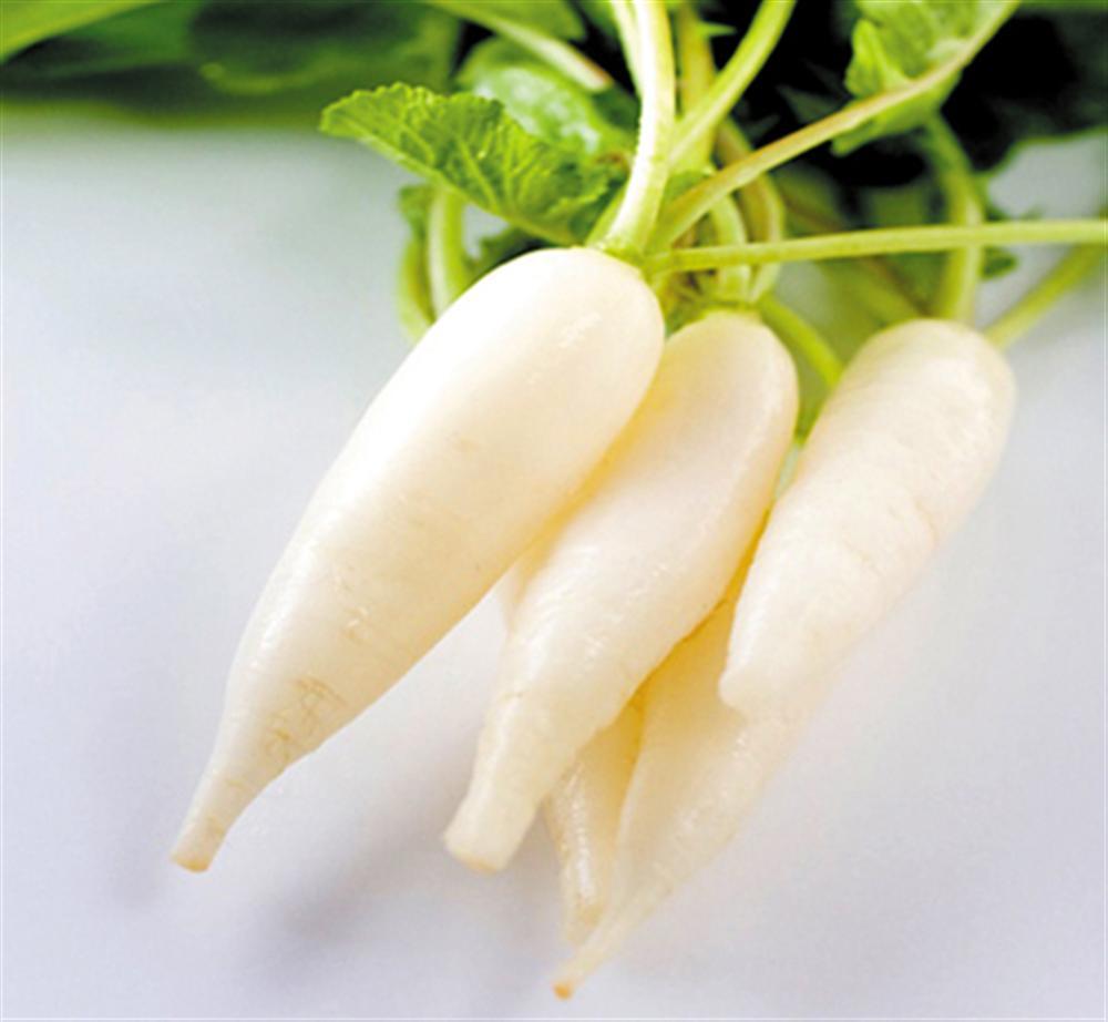 Củ cải trắng – Vegefoods