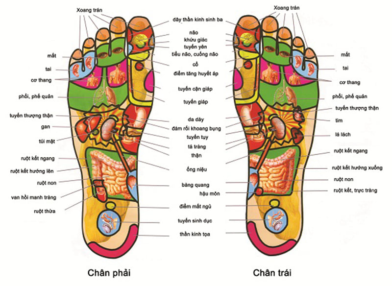 Massage chân có tác dụng gì? Giảm đau nhức bằng cách ấn huyệt đạo lòng bàn chân