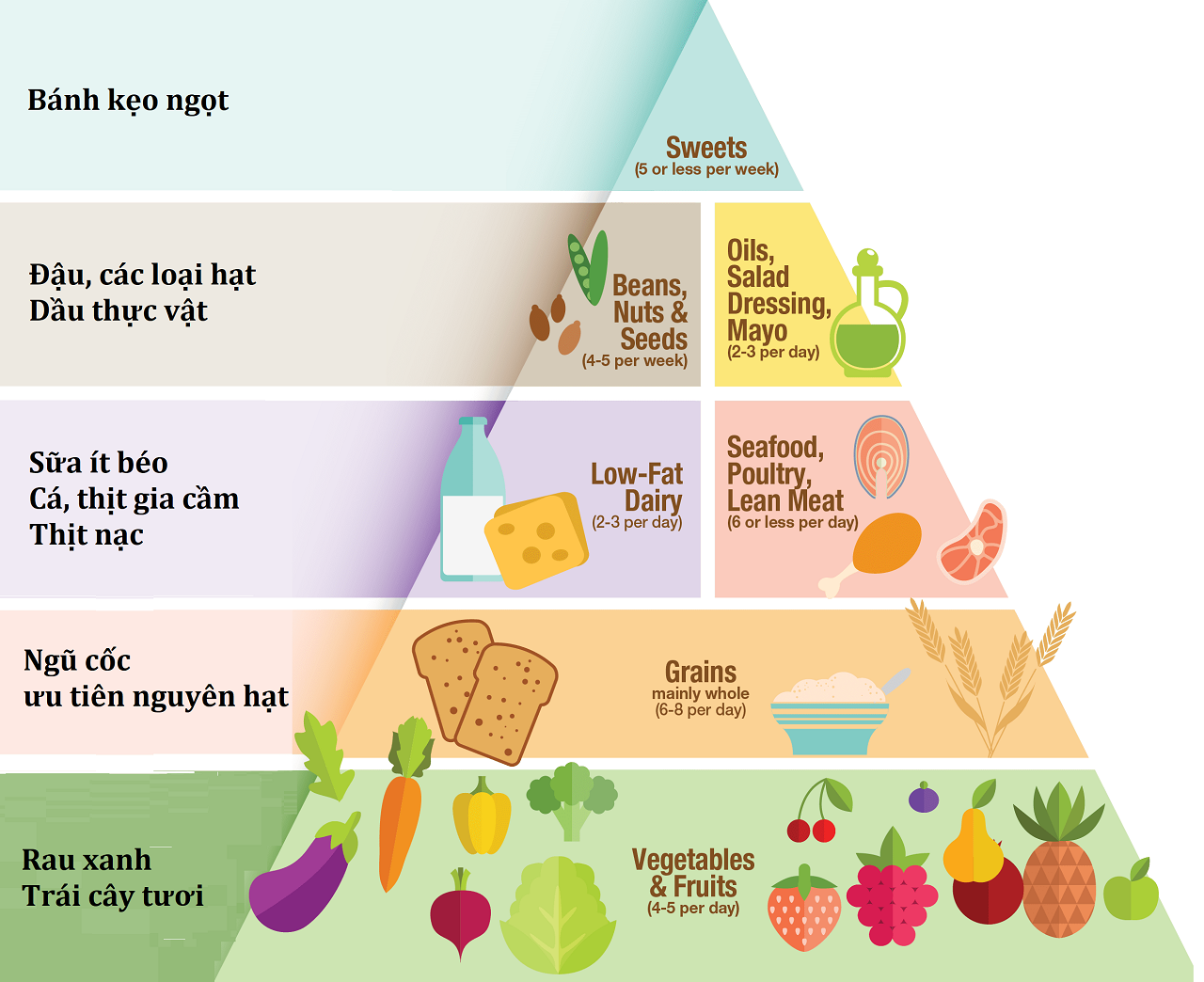 Tháp dinh dưỡng là gì? Bạn cần biết gì?