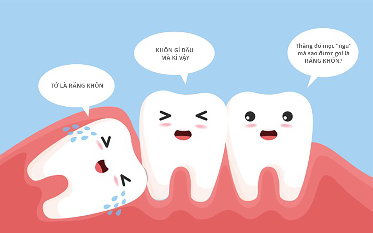 Răng khôn là gì 3